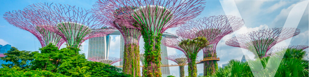  Image of The Gardens by the Bay an architecturally sustainable construction. 