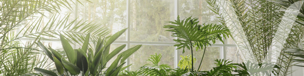  A serene indoor garden featuring bright natural light and diverse greenery, showcasing elements of biophilic design.