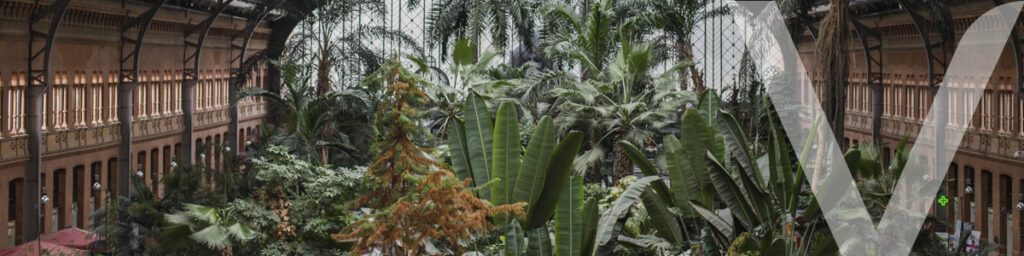 Estación de Atocha, una histórica estación de tren transformada en un exuberante espacio de diseño biofílico con plantas tropicales bajo un dosel de hierro y vidrio.